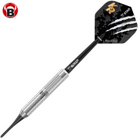 BULL´S Dart Soft Dart Krzysztof Ratajski Brass Silver Softdart Softtip 18 g