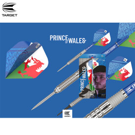 Target Soft Darts Levy Williams The Prince of Wales Gen 1 Generation 1 90% Tungsten Softtip Dart Softdart 18 g