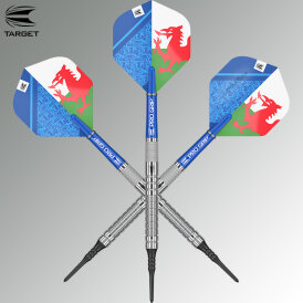 Target Soft Darts Levy Williams The Prince of Wales Gen 1 Generation 1 90% Tungsten Softtip Dart Softdart 18 g