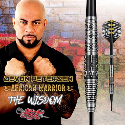 Shot Steel Darts Devon Petersen Wisdom African Warrior 80% Tungsten Steeltip Darts Steeldart
