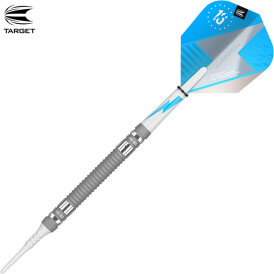 Target Soft Darts Phil Taylor Power Series Silver 80% Tungsten Softtip Softdart 21 g