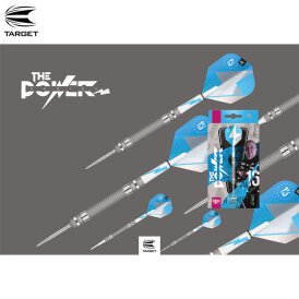 Target Steel Darts SWISS Point Phil Taylor Power Series Silver 80% Tungsten Steeltip Steeldart 23 g