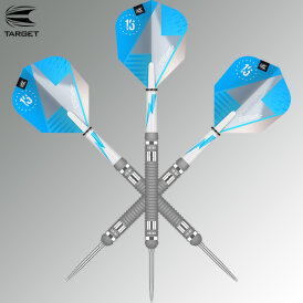 Target Steel Darts SWISS Point Phil Taylor Power Series Silver 80% Tungsten Steeltip Steeldart 24 g