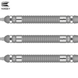 Target Steel Darts SWISS Point Phil Taylor Power Series Silver 80% Tungsten Steeltip Steeldart 24 g