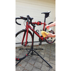 Ballistol Trockenreiniger & Detailer Pumpsprüher 750 ml