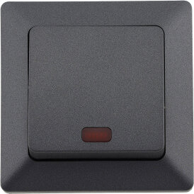 MILOS Kontroll-Schalter mit Lämpchen 250V~/ 10A,...