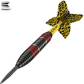 Target Steel Darts Dimitri van den Bergh Brass Steeltip Steeldart 22 g