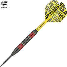 Target Steel Darts Dimitri van den Bergh Brass Steeltip Steeldart 22 g