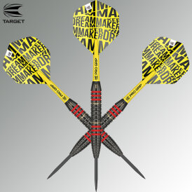 Target Steel Darts Dimitri van den Bergh Brass Steeltip Steeldart 22 g