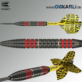 Target Steel Darts Dimitri van den Bergh Brass Steeltip Steeldart 22 g