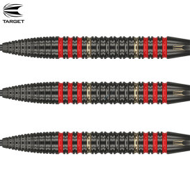 Target Steel Darts Dimitri van den Bergh Brass Steeltip Steeldart 22 g