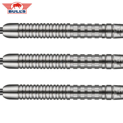 BULLS NL Steel Darts Filip Ljubenko 90% Tungsten Steeltip Darts Steeldart 21 g