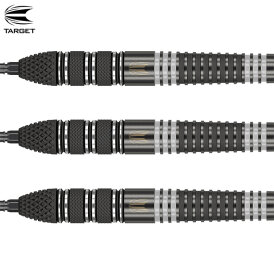 Target Steel Darts SWISS Point Raymond van Barneveld RVB 95 ECHO 95% Tungsten Steeltip Dart Steeldart
