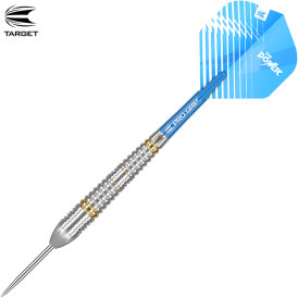 Target Steel Darts Phil Taylor Power Brass komplett Dartset Steeltip Steeldart 22 g