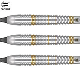 Target Soft Darts Phil Taylor Power Brass komplett Dartset Softtip Softdart 18 g