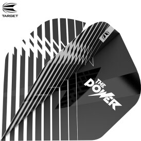 Target Dart Pro.Ultra Brass Nr.2 Phil Taylor Power Dart Flight Dartflights Design 2022 verschiedene Designs