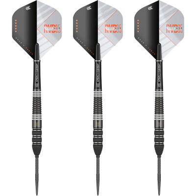 Target Steel Darts SWISS Point Raymond van Barneveld RVB 95 ECHO 95% Tungsten Steeltip Dart Steeldart 21 g