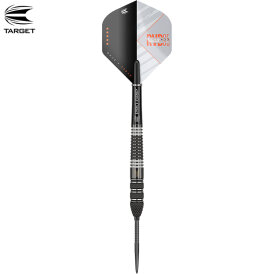 Target Steel Darts SWISS Point Raymond van Barneveld RVB 95 ECHO 95% Tungsten Steeltip Dart Steeldart 21 g