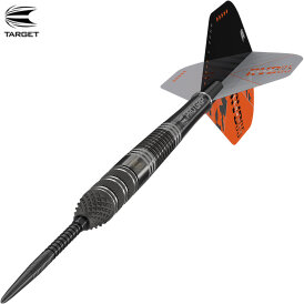 Target Steel Darts SWISS Point Raymond van Barneveld RVB 95 ECHO 95% Tungsten Steeltip Dart Steeldart 21 g
