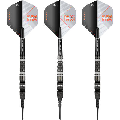 Target Soft Darts Raymond van Barneveld RVB 95 ECHO 95% Tungsten Softtip Dart Softdart 20 g