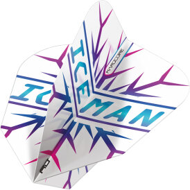 Red Dragon Gerwyn Price The Iceman Flights Hardcore Standard, V-Standard, Freestyle Dart Flight Neuheit 2022 / 2023 verschiedene Designs