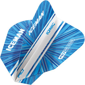 Red Dragon Gerwyn Price The Iceman Flights Hardcore Standard, V-Standard, Freestyle Dart Flight Neuheit 2022 / 2023 verschiedene Designs