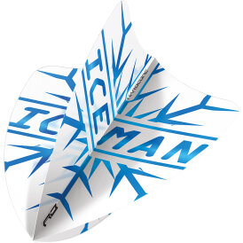 Red Dragon Gerwyn Price The Iceman Flights Hardcore Standard, V-Standard, Freestyle Dart Flight Neuheit 2022 / 2023 verschiedene Designs