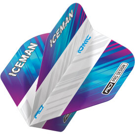 Red Dragon Gerwyn Price The Iceman Flights Hardcore Standard, V-Standard, Freestyle Dart Flight Neuheit 2022 / 2023 verschiedene Designs