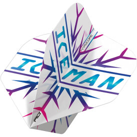 Red Dragon Gerwyn Price The Iceman Flight Pack Hardcore Standard Dart Flight Neuheit 2022 / 2023 verschiedene Designs