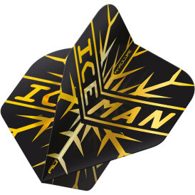 Red Dragon Gerwyn Price The Iceman Flight Pack Hardcore Standard Dart Flight Neuheit 2022 / 2023 verschiedene Designs