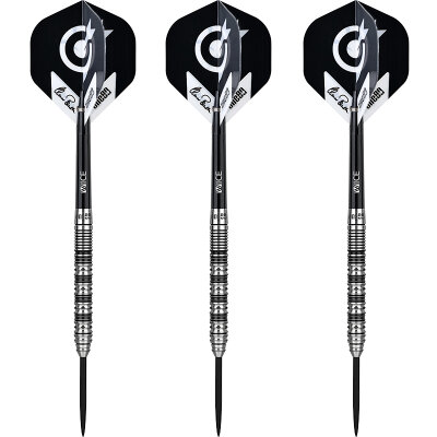one80 Steel Dart Signature Elmar Paulke VHD V2 Dartpapst 90% Tungsten Steeltip Dart Steeldart 22 g