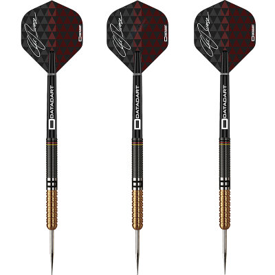 Datadart Steel Darts Christian Bunse Black and Gold 90% Tungsten Steeltip Darts Steeldart 21 g