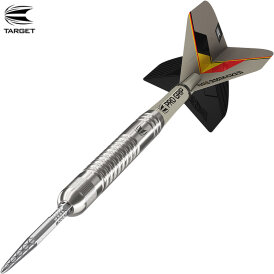 Target Steel Darts SWISS Point Dimitri van den Bergh G2 Generation 2 90% Tungsten Steeltip Steeldart 25 g