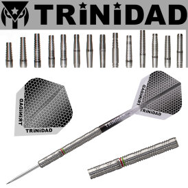 Trinidad Darts Steel Darts José Augusto Oliveira de Sousa Type 3 Steeltip Darts Steeldart 22 g