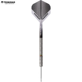 Trinidad Darts Steel Darts José Augusto Oliveira de Sousa Type 3 Steeltip Darts Steeldart 24 g