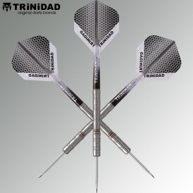 Trinidad Darts Steel Darts José Augusto Oliveira de Sousa Type 3 Steeltip Darts Steeldart 24 g