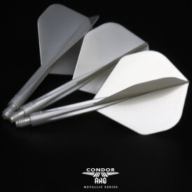 Condor Dart Flights Shafts AXE Metallic 2 in1 Schaft-Flights-System Pearl Silver Standard Nr.2 M Mittel