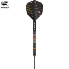 Target Steel Darts SWISS Point Raymond van Barneveld RVB Black 80% Tungsten Steeltip Dart Steeldart 21 g