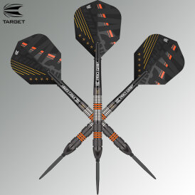 Target Steel Darts SWISS Point Raymond van Barneveld RVB Black 80% Tungsten Steeltip Dart Steeldart 21 g