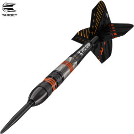 Target Steel Darts SWISS Point Raymond van Barneveld RVB Black 80% Tungsten Steeltip Dart Steeldart 25 g