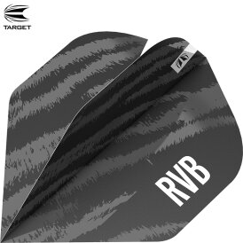 Target Dart Pro Ultra RVB Brass Nr.2 Dart Flight Raymond van Barneveld Dartflights Design 2023 verschiedene Farben