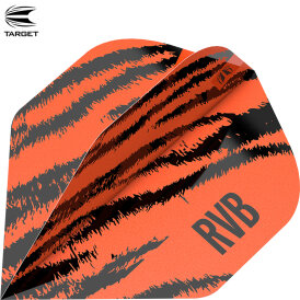 Target Dart Pro Ultra RVB Brass Nr.2 Dart Flight Raymond van Barneveld Dartflights Design 2023 verschiedene Farben
