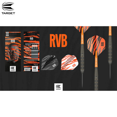 Target Dart Pro Ultra RVB Brass Nr.2 Dart Flight Raymond van Barneveld Dartflights Design 2023 Wei�