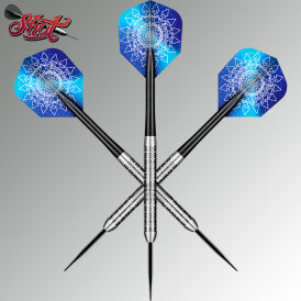 Shot Steel Darts Rowby John Rodriquez Dagat 80% Tungsten Steeltip Darts Steeldart 21 g