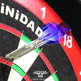 Condor Dart Flights Shafts AXE Gradation zweifarbig Small 2 in1 Schaft-Flights-System Klar/Blau L Lang