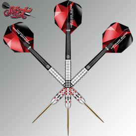 Shot Steel Darts Michael Smith Bully Boy Achieve Matchdart 90% Tungsten Steeltip Darts Steeldart 24 g