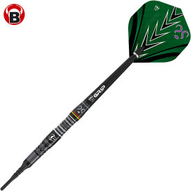BULLS Soft Darts Pro Brian Raman G1 The Riddler 90% Tungsten Soft Dart Softdart Softtip 18 g