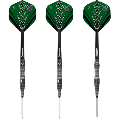 BULLS Steel Darts Pro Brian Raman G1 The Riddler 90% Tungsten Steel Dart Steeldart Steeltip 22 g