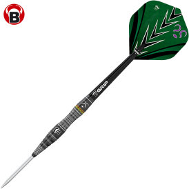 BULLS Steel Darts Pro Brian Raman G1 The Riddler 90% Tungsten Steel Dart Steeldart Steeltip 26 g