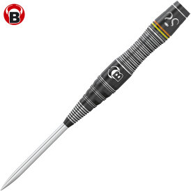 BULLS Steel Darts Pro Brian Raman G1 The Riddler 90% Tungsten Steel Dart Steeldart Steeltip 26 g
